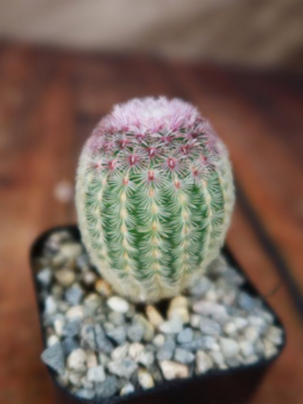 Rave Outfit OceanMoon Keyhole Top Sequin Skirt